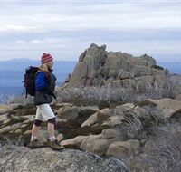 Mount Buffalo National Park - Accommodation Mermaid Beach