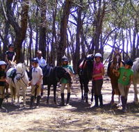 Bellarine Horse Riding Centre - Accommodation Mermaid Beach