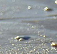 Cape Liptrap Coastal Park - Accommodation Mermaid Beach