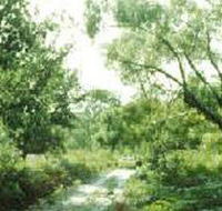 Holey Plains State Park - Accommodation Mermaid Beach