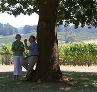 Five Oaks Vineyard - Accommodation Mermaid Beach