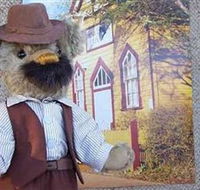 Stanley Bears - Accommodation Mermaid Beach