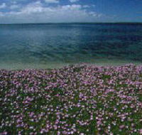 The Lakes National Park - Accommodation Mermaid Beach