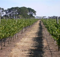Mount Beckworth Wines - Accommodation Mermaid Beach