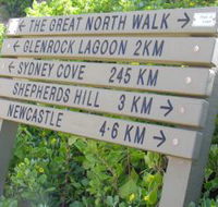 Great North Walk - Accommodation Mermaid Beach