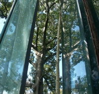 Sydney Sculpture Walk - Accommodation Mermaid Beach