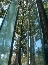 Sydney Sculpture Walk - Accommodation Mermaid Beach 0