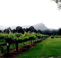 Cambewarra Estate Wines - Accommodation Mermaid Beach
