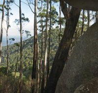 Gulaga National Park - Accommodation Mermaid Beach