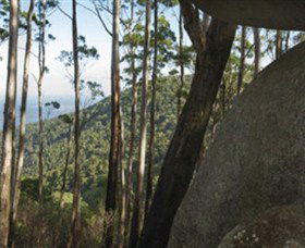Gulaga National Park - Accommodation Mermaid Beach 0