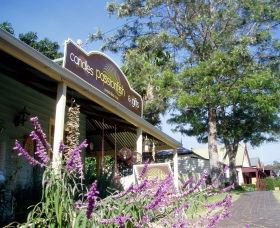Passionfish Candles - Accommodation Mermaid Beach 0