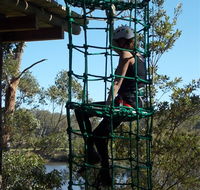 Trees Adventure Shoalhaven - Accommodation Mermaid Beach
