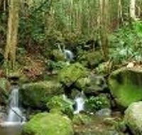 Budderoo National Park - Accommodation Mermaid Beach