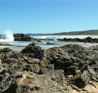 Coastal Walks - Bermagui - Accommodation Mermaid Beach