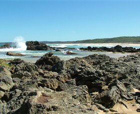 Coastal Walks - Bermagui - Accommodation Mermaid Beach 0