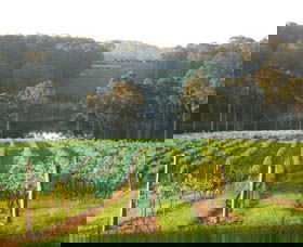 Tilba Valley Wines - Accommodation Mermaid Beach 0