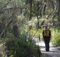 Barren Grounds Nature Reserve - Accommodation Mermaid Beach