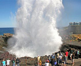 Kiama Blowhole - Accommodation Mermaid Beach 0