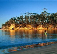 Batemans Marine Park - Accommodation Mermaid Beach