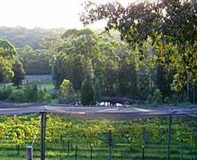 Lyrebird Ridge Organic Winery - Accommodation Mermaid Beach 0