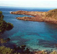 Bass Point Reserve - Accommodation Mermaid Beach