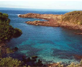 Bass Point Reserve - Accommodation Mermaid Beach 0