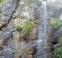 Wedding Bells Forest Drive - Accommodation Mermaid Beach