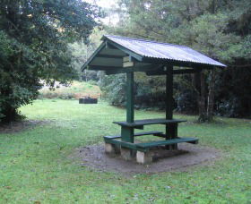 Pine Creek State Forest - Accommodation Mermaid Beach 0