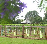 Douglas Vale Historic Homestead  Vineyard - Accommodation Mermaid Beach
