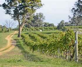 Shaw Vineyard Estate - Accommodation Mermaid Beach 1
