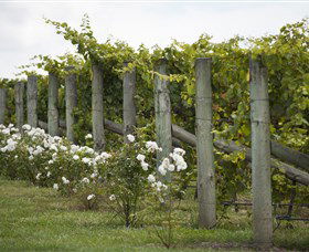 Lambert Vineyards Cellar Door - Accommodation Mermaid Beach 2