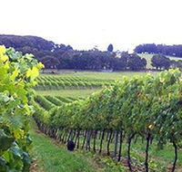 Banjo's Run Winery and Vineyard - Accommodation Mermaid Beach