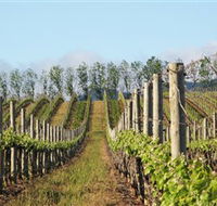 Philip Shaw Wines - Accommodation Mermaid Beach