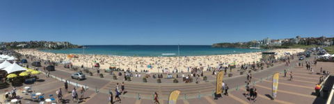Real Sydney Tours - Accommodation Mermaid Beach 2