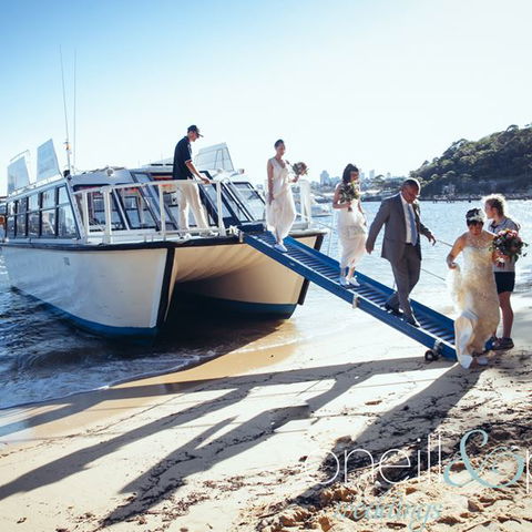H2O Maxi Taxis - Accommodation Mermaid Beach 3