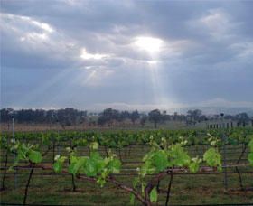 Thunder Ridge Wines - Accommodation Mermaid Beach 1