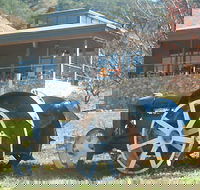 Lake George Winery - Accommodation Mermaid Beach