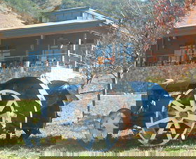 Lake George Winery - Accommodation Mermaid Beach 0