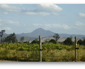 Purga QLD Accommodation Mermaid Beach