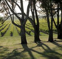 Henry's Drive Vignerons - Accommodation Mermaid Beach