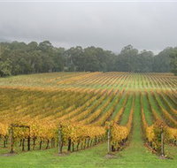 Boat O'Craigo Wines - Accommodation Mermaid Beach