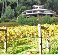 Peveril Vineyard/Beechy Berries - Accommodation Mermaid Beach