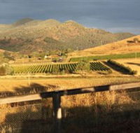 Optimiste Wines - Accommodation Mermaid Beach