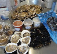Advance Mussel Supply - Accommodation Mermaid Beach