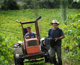 Kellybrook Winery, Kelly Brothers Cider & Riders Brew Co. - Accommodation Mermaid Beach 0