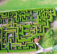 Hedgend Maze and Healesville Laser Sport - Accommodation Mermaid Beach