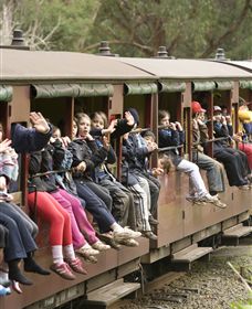 Puffing Billy Steam Railway - Accommodation Mermaid Beach 1