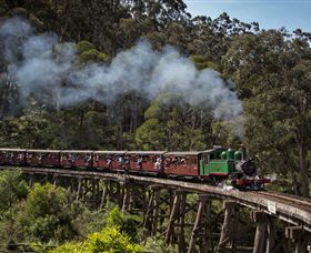 Puffing Billy Steam Railway - Accommodation Mermaid Beach 0