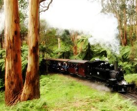 Puffing Billy Steam Railway - Accommodation Mermaid Beach 5