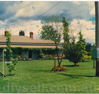 Tumut Valley Violets - Accommodation Mermaid Beach